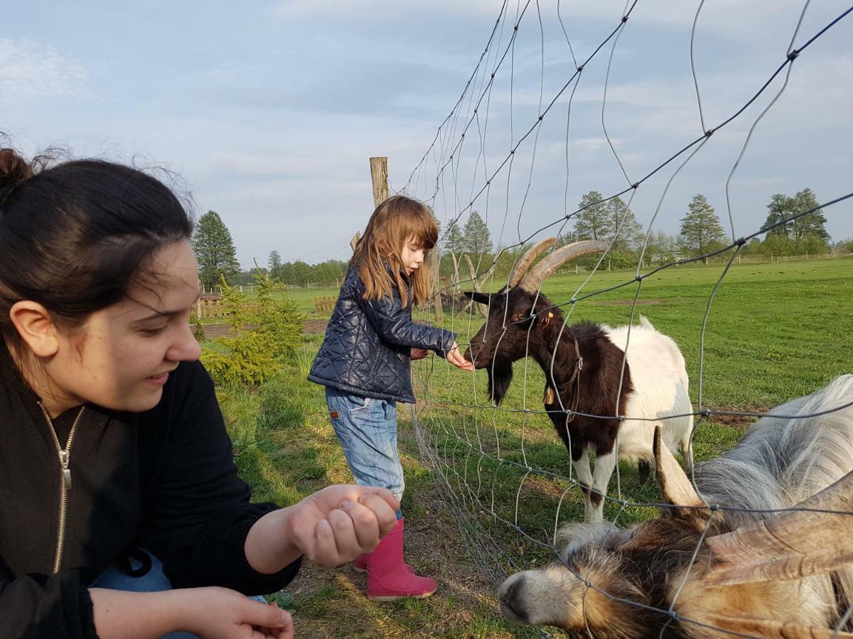 Gospodarstwo "Na Legach" Lubcz Maly Dış mekan fotoğraf